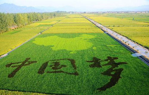 未來中國的農(nóng)業(yè)又將再一次變天！