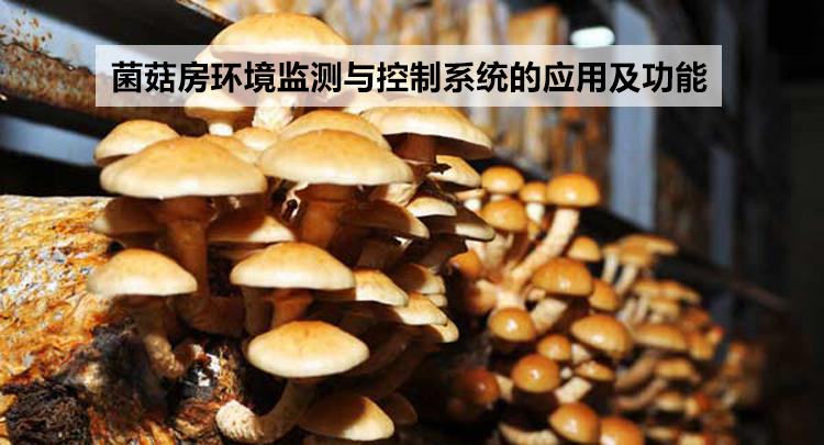 菌菇房環(huán)境監(jiān)測與控制系統(tǒng)的應(yīng)用及功能