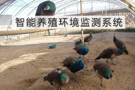 智能養(yǎng)殖環(huán)境監(jiān)測系統(tǒng)