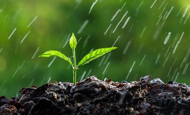 翻斗式雨量計的日常保養(yǎng)及故障分析