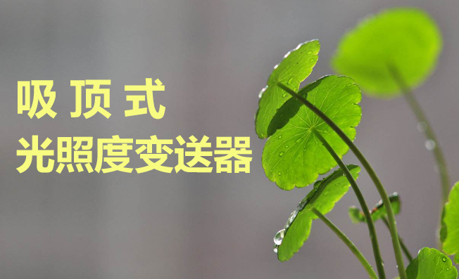 室內(nèi)光照度檢測在環(huán)境監(jiān)測中起到的作用