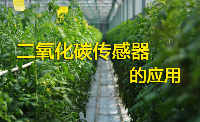 二氧化碳傳感器如何助力提高農(nóng)作物產(chǎn)量？