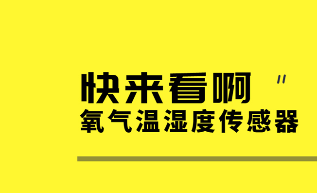 氧氣溫濕度變送器在家禽養(yǎng)殖中發(fā)揮的作用