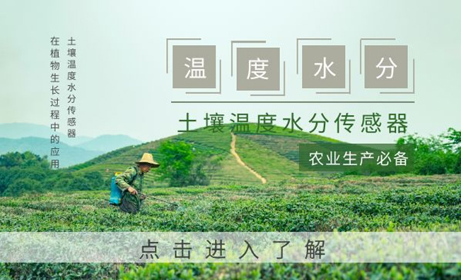 土壤溫度水分變送器對植物生長起到的積極意義