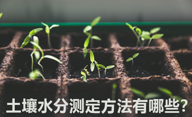 常見的土壤水分測定方法有哪些？