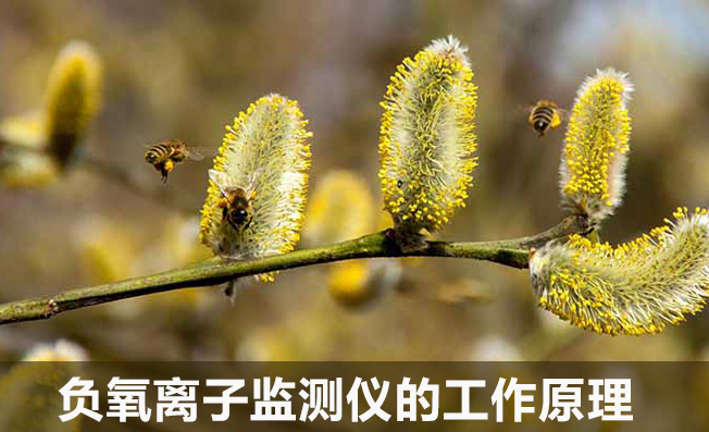 負(fù)氧離子監(jiān)測儀的工作原理