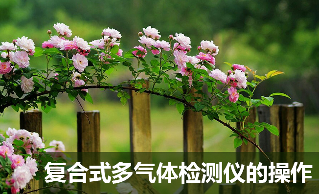 復(fù)合式多氣體檢測儀的操作教程