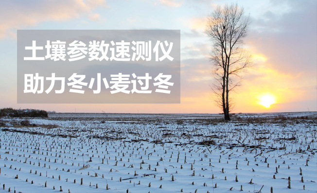我國或現(xiàn)60年一遇的寒冬，土壤參數(shù)速測儀助力冬小麥過冬！