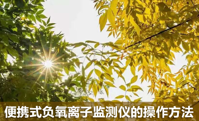 便攜式負(fù)氧離子監(jiān)測儀的操作方法