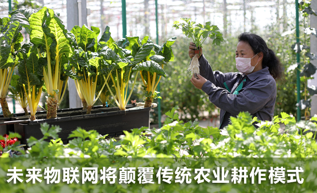 未來物聯(lián)網(wǎng)將顛覆傳統(tǒng)農(nóng)業(yè)耕作模式