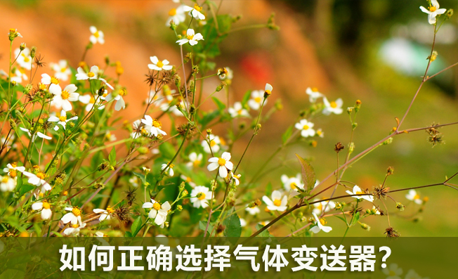 如何正確選擇氣體變送器？