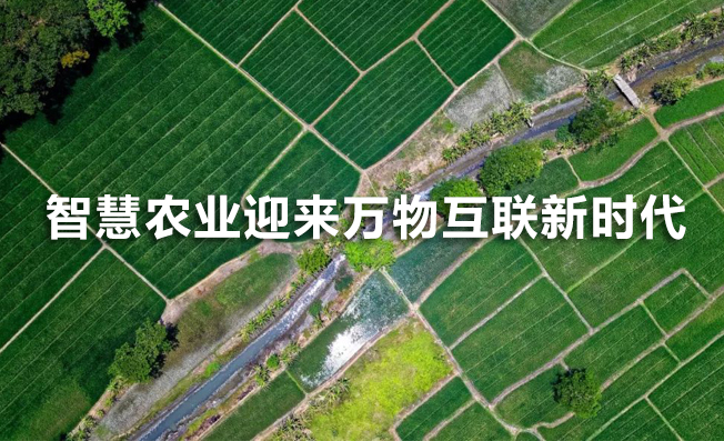 5G環(huán)境下，智慧農(nóng)業(yè)正迎來萬物互聯(lián)新時代