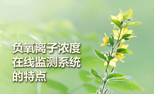 負(fù)氧離子濃度在線監(jiān)測系統(tǒng)的特點(diǎn)