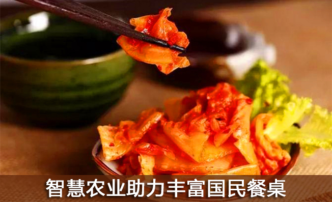 智慧農(nóng)業(yè)助力豐富國民餐桌