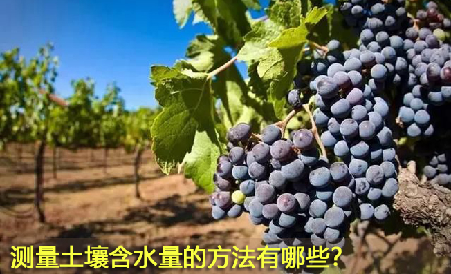 測量土壤含水量的方法有哪些？