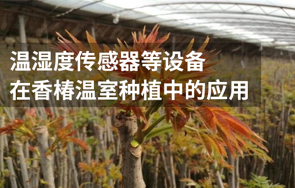 環(huán)境監(jiān)測設(shè)備在香椿溫室種植環(huán)境中的發(fā)揮的作用
