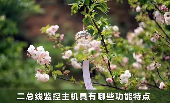 二總線監(jiān)控主機(jī)具有哪些功能？