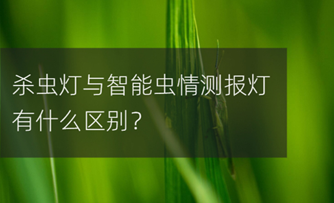 殺蟲燈和智能蟲情測報儀之間的區(qū)別？