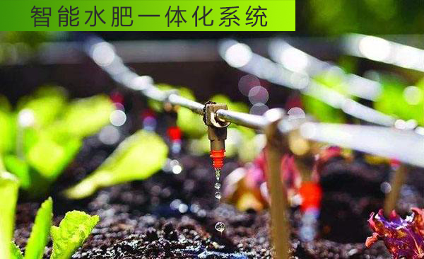 水肥一體化是如何避免過量施肥灌溉的？