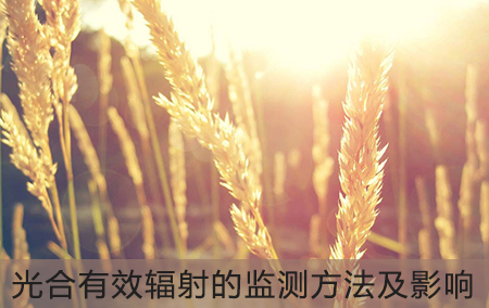 光合有效輻射的監(jiān)測方法及影響