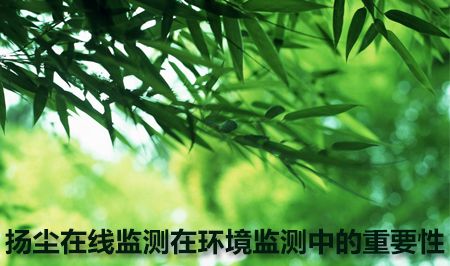 揚(yáng)塵在線監(jiān)測系統(tǒng)在環(huán)境監(jiān)測中發(fā)揮的重要作用