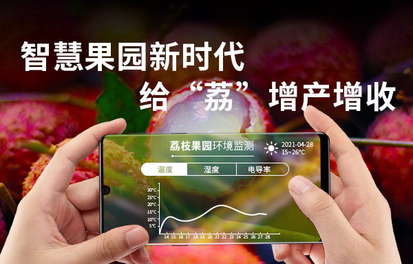 智慧果園新時代，給“荔”增產(chǎn)增收