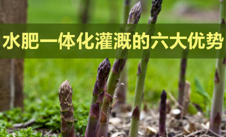 水肥一體化灌溉系統(tǒng)的六大優(yōu)勢