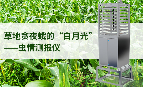 蟲情測報儀在防治草地貪夜蛾中發(fā)揮怎樣的作用？