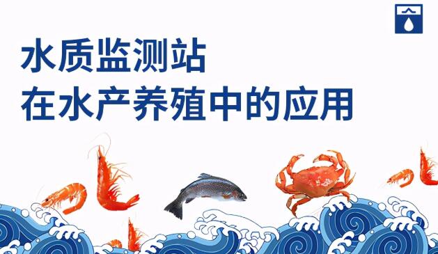 水質(zhì)監(jiān)測站在水產(chǎn)養(yǎng)殖中的應(yīng)用