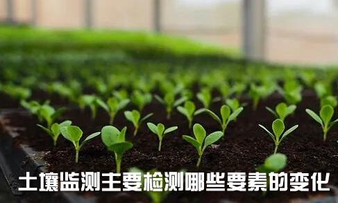 土壤監(jiān)測主要檢測哪些要素的變化？