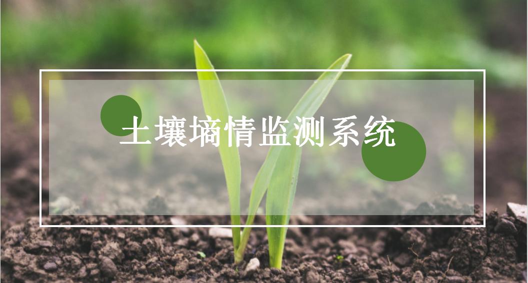 土壤墑情之土壤溫濕度監(jiān)測系統(tǒng)