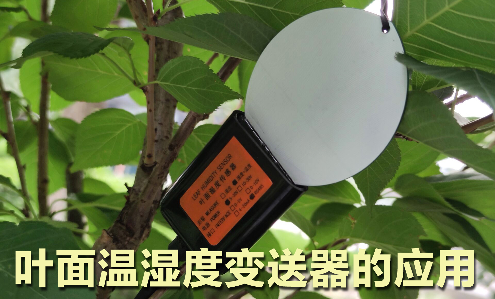頁面溫濕度變送器的功能特點(diǎn)