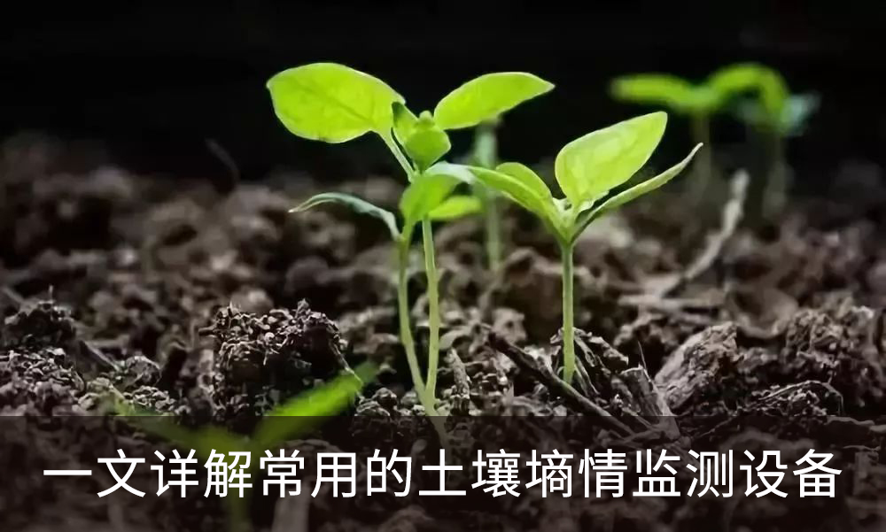 一文詳解常用的土壤墑情監(jiān)測設(shè)備