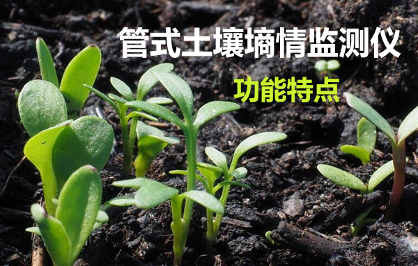 管式土壤墑情監(jiān)測儀具有哪些功能特點(diǎn)？