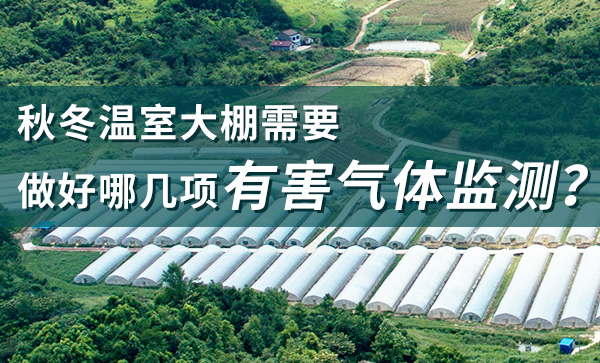 秋冬溫室大棚需要做好哪幾項有害氣體監(jiān)測？