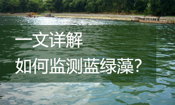 一文詳解如何監(jiān)測藍(lán)綠藻？