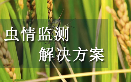 蟲情監(jiān)測解決方案