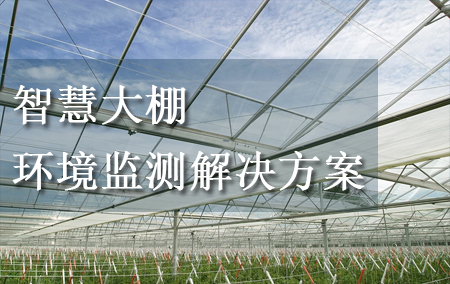 智慧大棚環(huán)境監(jiān)測解決方案