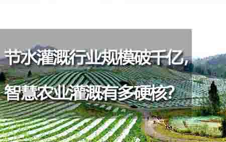 節(jié)水灌溉行業(yè)規(guī)模破千億，智慧農(nóng)業(yè)灌溉有多硬核？