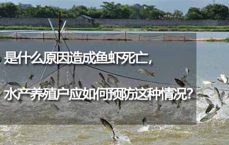 是什么原因造成魚蝦死亡，水產(chǎn)養(yǎng)殖戶應(yīng)如何預(yù)防這種情況？