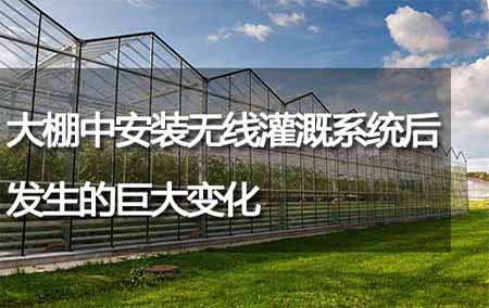 大棚中安裝無線灌溉系統(tǒng)后發(fā)生的巨大變化