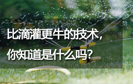 比滴灌更牛的技術(shù)，你知道是什么嗎？