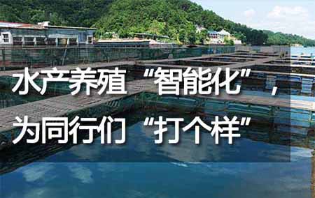 水產(chǎn)養(yǎng)殖“智能化”，為同行們“打個樣”
