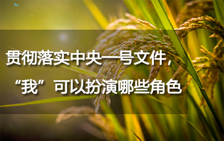 貫徹落實(shí)中央一號文件，“我”可以扮演哪些角色？