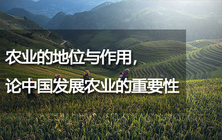 農(nóng)業(yè)的地位與作用，論中國發(fā)展農(nóng)業(yè)的重要性