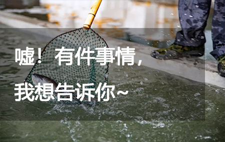 噓！有件事情，我想告訴你~