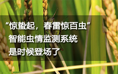 “驚蟄起，春雷驚百蟲”智能蟲情監(jiān)測系統(tǒng)是時候登場了
