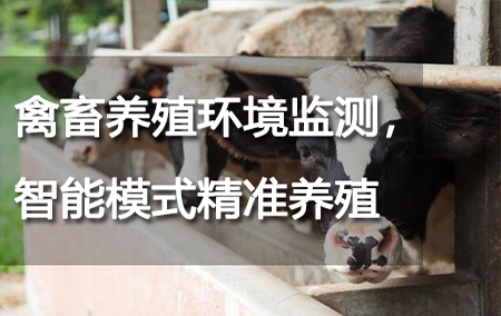 禽畜養(yǎng)殖環(huán)境監(jiān)測，智能模式精準(zhǔn)養(yǎng)殖