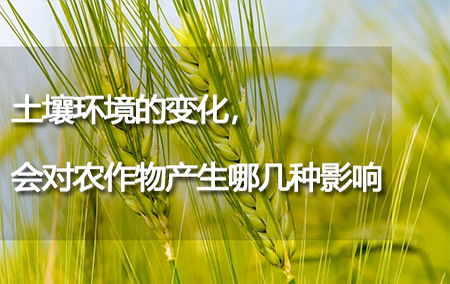 土壤環(huán)境的變化，會對農(nóng)作物產(chǎn)生哪幾種影響