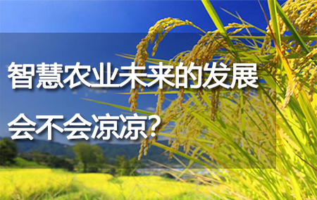 智慧農(nóng)業(yè)未來的發(fā)展會不會涼涼？
